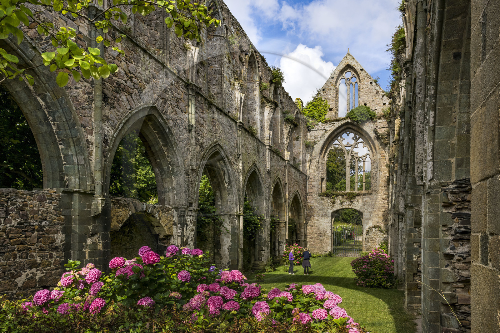 France, Cotes d'Armor, Paimpol, the 13th century Beauport Abbey, interior of the abbey church