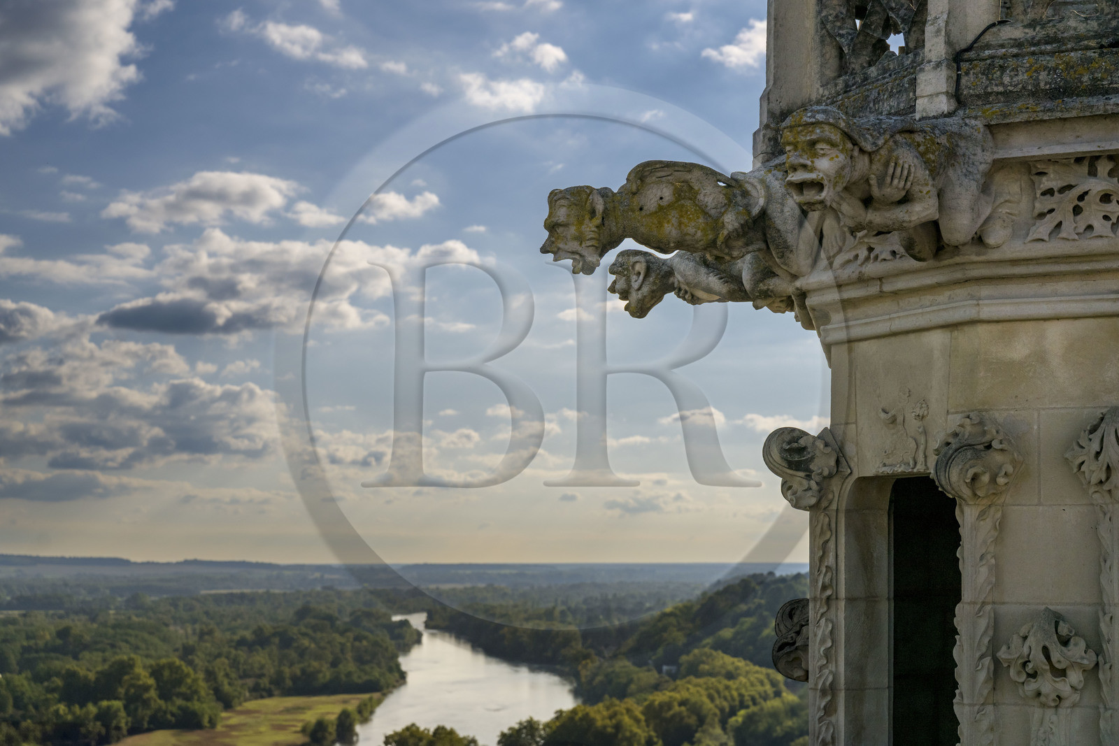 France, Nièvre, Nevers, Saint Cyr et Sainte Julitte cathedral, 16th century gargoyles at the top of the Bohier tower and the Loire river in the background