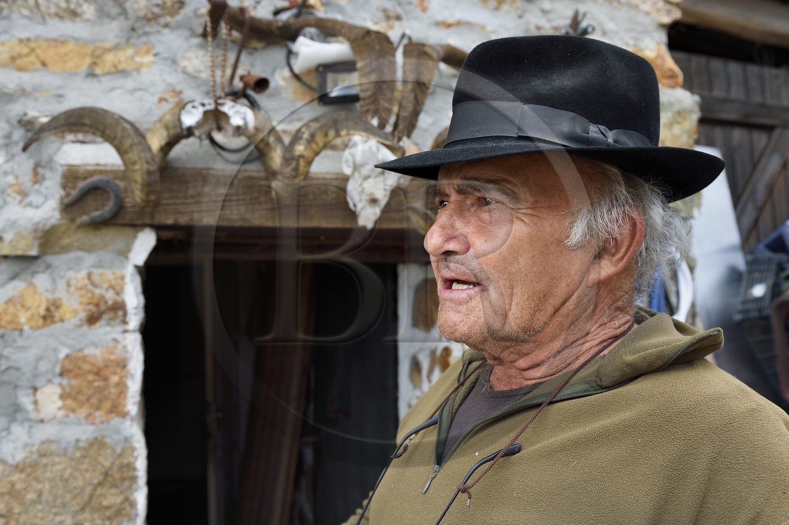 France, Corse-du-Sud (2A), Cargèse, le berger François Defranchi producteur de fromages de brebis