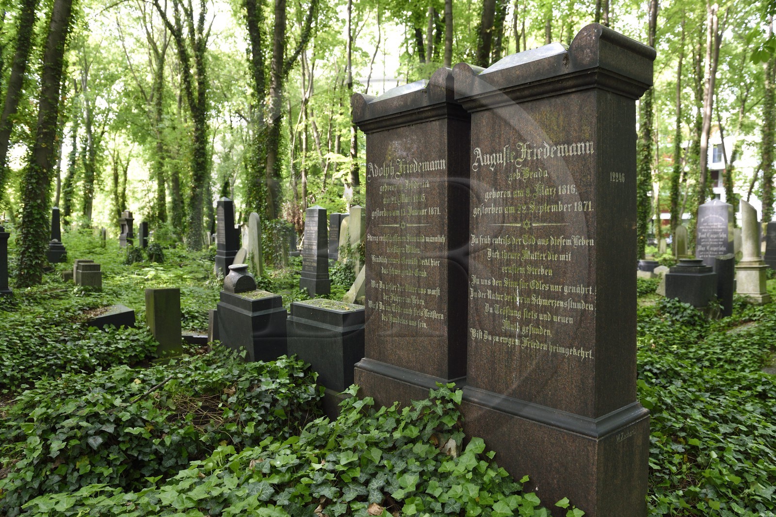 Allemagne, Berlin, quartier de Prenzlauer Berg, le cimetière israélite de Schonhauser Allee