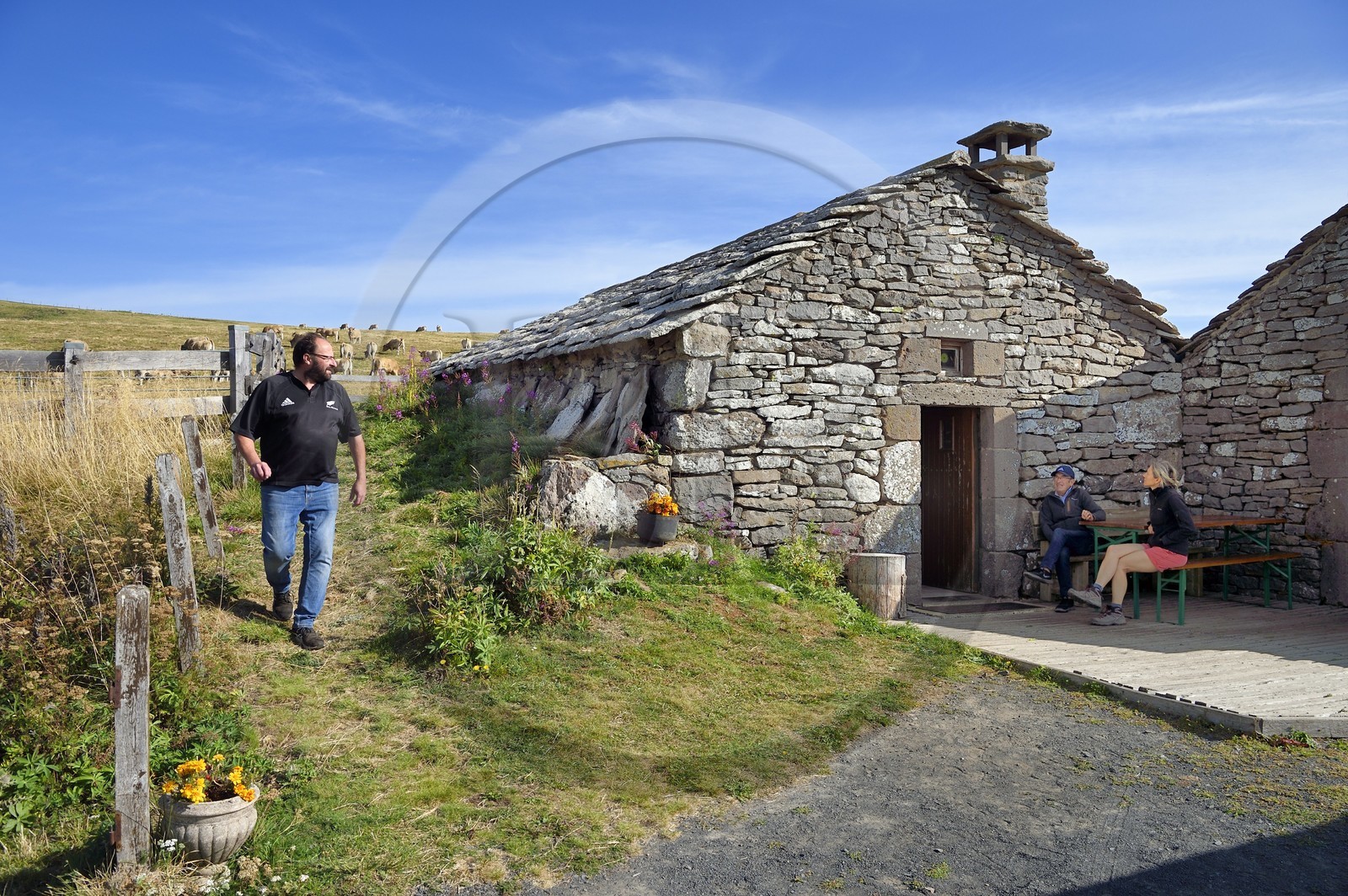 France, Cantal (15), Parc Naturel Régional des Volcans d’Auvergne, vallée de Brezons, estives en altitude, Buron de la Combe de la Saure dirigé par Denis Deconquand, restaurant de montagne en pierre de Lauze dans une ancienne bergerie