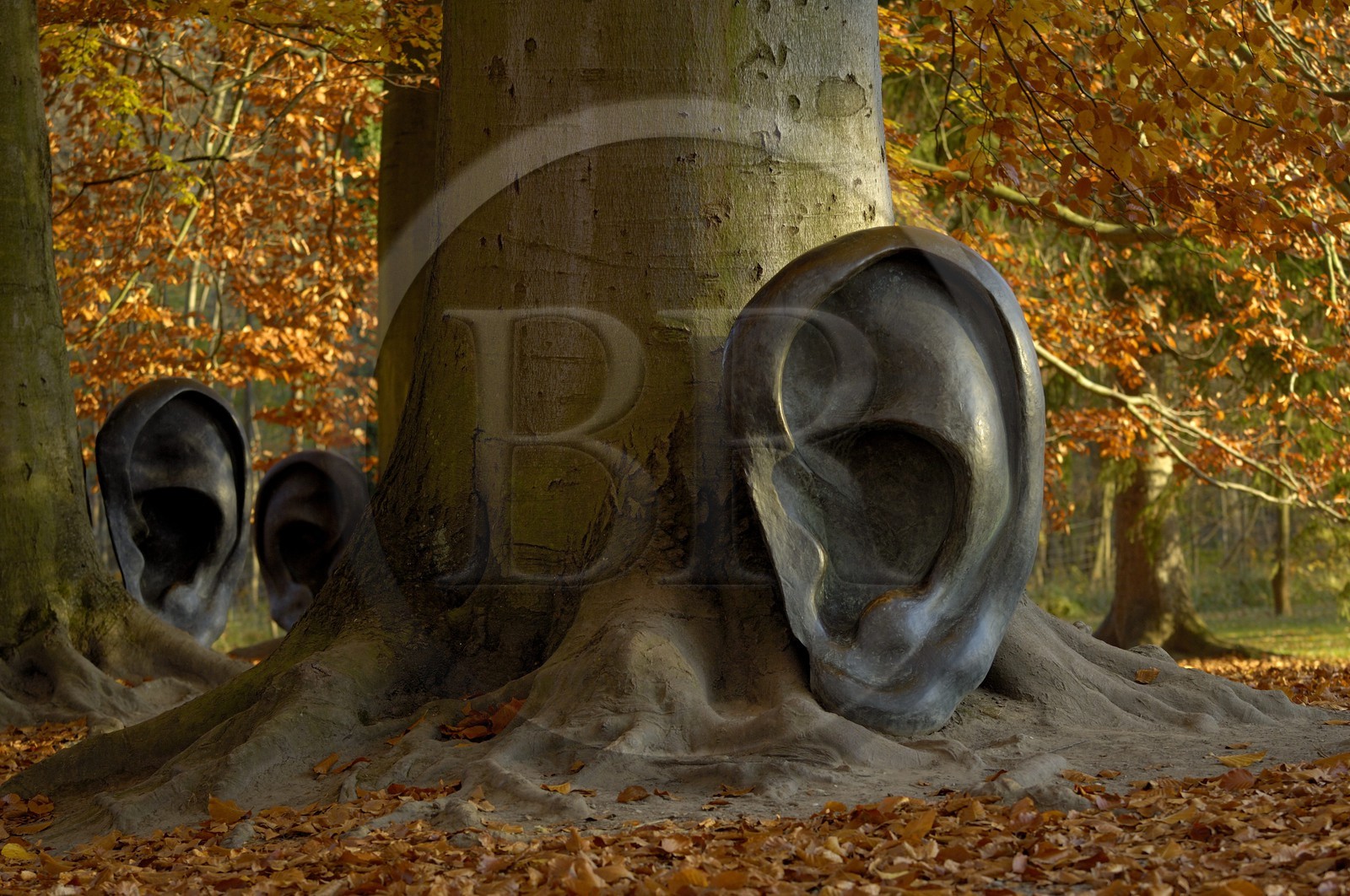 France, Bas Rhin, Strasbourg, Castle of Pourtales, the Sculpture Park, il bosco guarda e ascolta (1990) by Claudio Parmiggiani