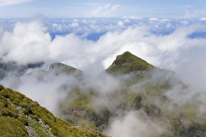 Portugal, Ile de Madère, randonnée sur le Vereda do Areeiro entre les monts Pico Ruivo (1862m) et Pico Arieiro (1817m), la chaine de montagnes centrale vers Achada do Teixeira surplombe l'Océan Atlantique