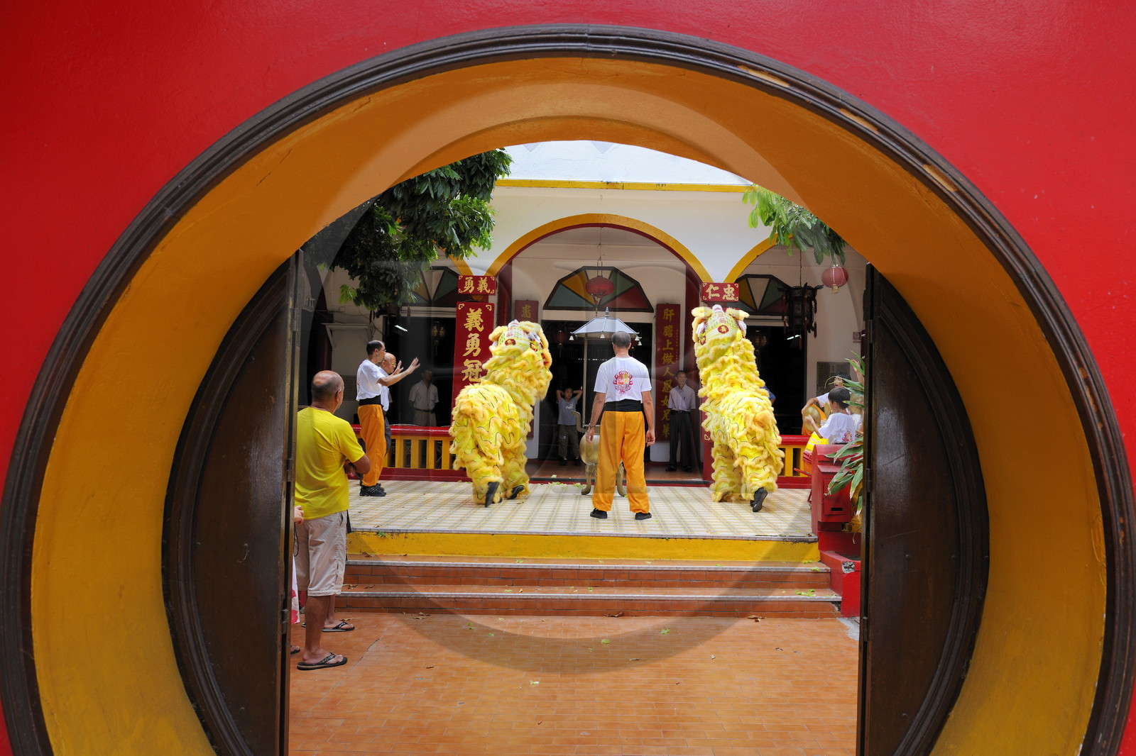 France, île de la Réunion, Saint-Pierre, danse traditionnelle du dragon à l'occasion des fêtes du nouvel an chinois dans un temple