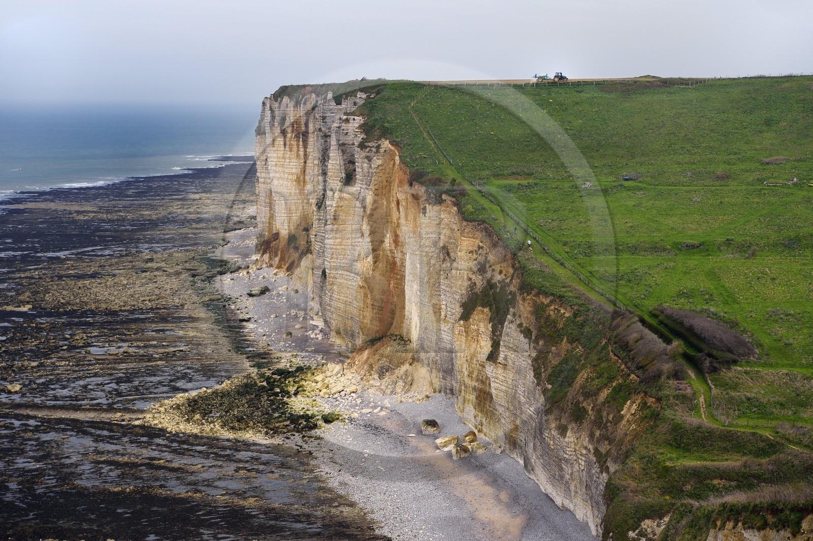 France, Seine-Maritime, Pays de Caux, Alabaster Coast (Cote d'Albatre), Benouville between Yport and Etretat, tractor in a field over the cliff, at low tide
