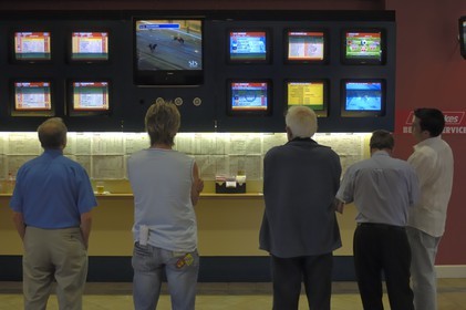 Republic of Ireland, County Meath, Ratoath, Fairyhouse racecourse, bettors at greyhound racing