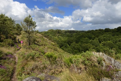 France, Morbihan (56), forêt de Brocéliande, Tréhorenteuc, la lande du Val sans retour
