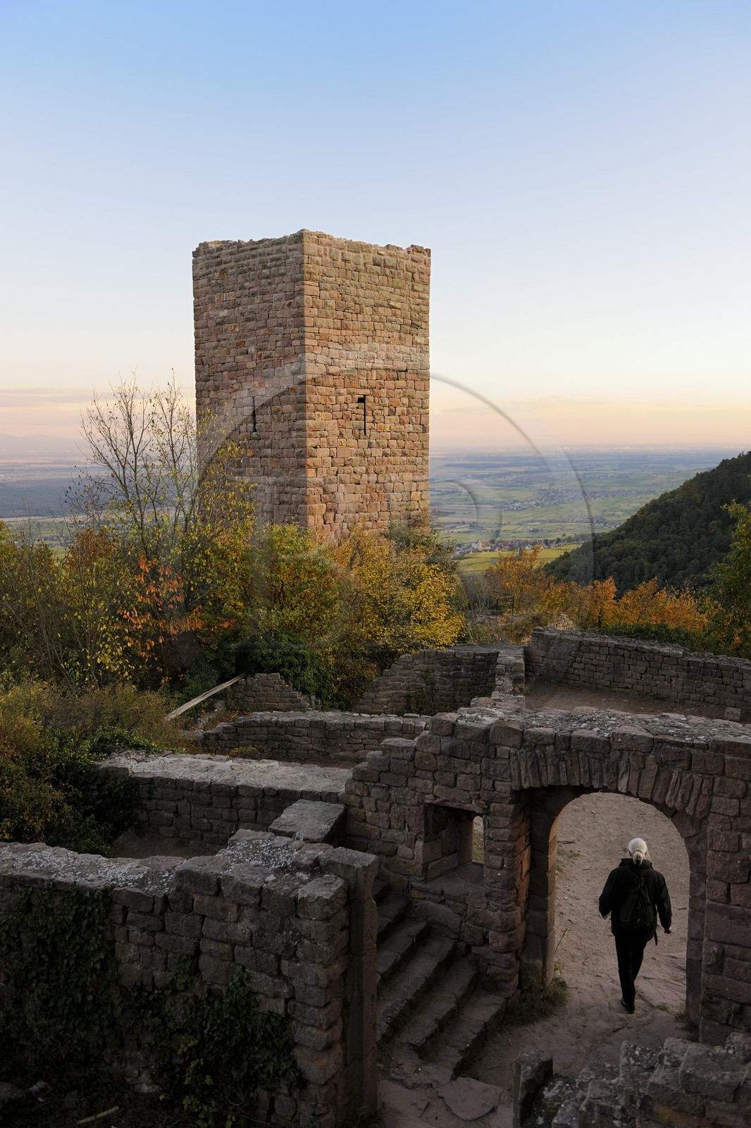France, Haut-Rhin (68), les trois donjons d'Eguisheim dans le massif des Vosges