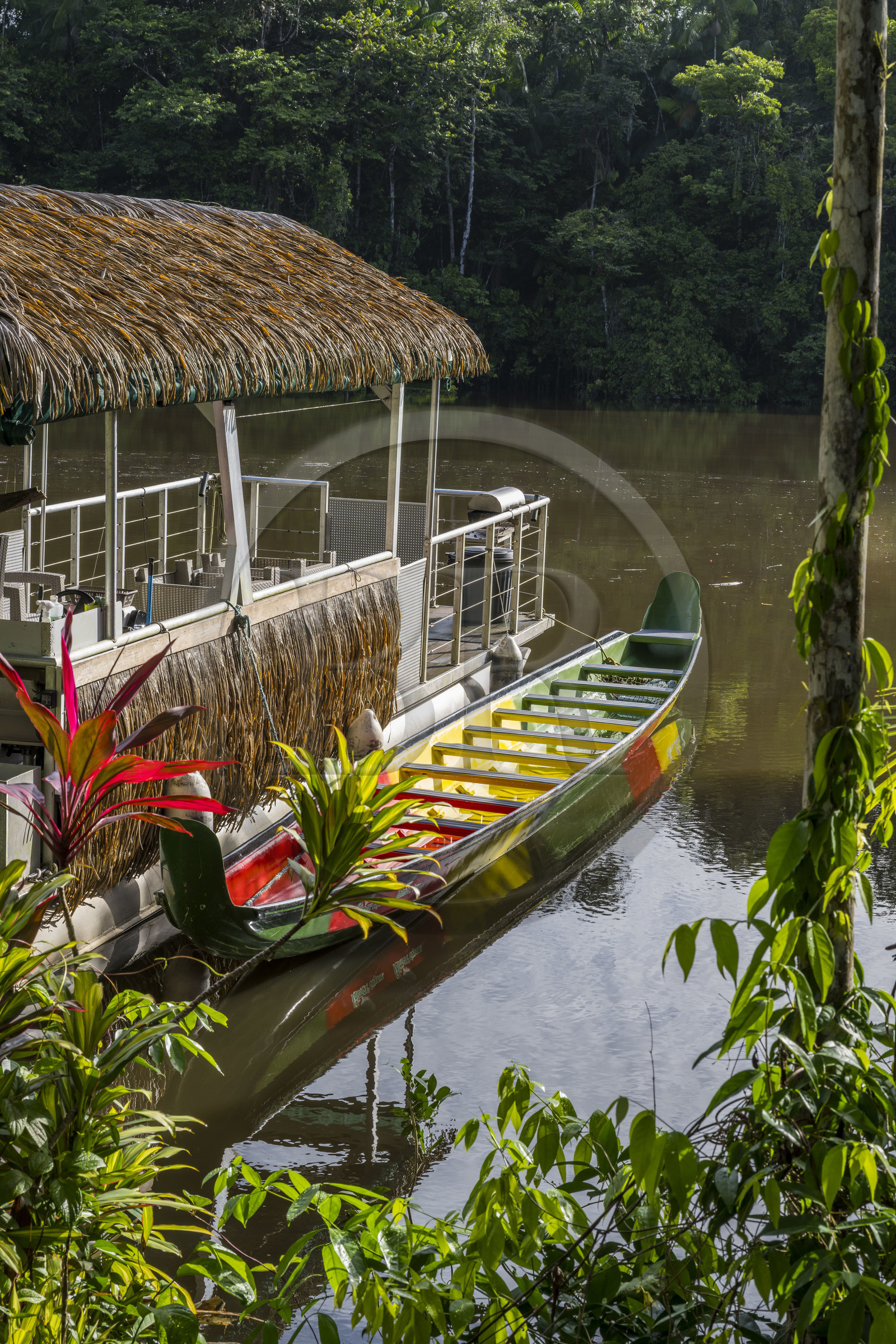 France, French Guiana, Kourou, the carbet (shelter) at Camp Maripas on the banks of the Kourou river
