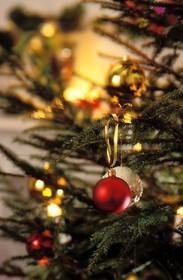 France, detail of a Christmas tree