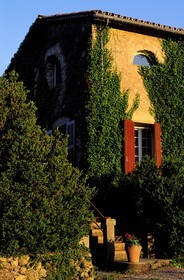 France, Var, Provence Verte (Green Provence), village of Bras next to Saint Maximin, bed and breakfast Le Peyrourier