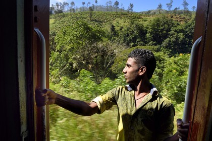Sri Lanka, Uva Province, the popular scenic train ride through the tea growing hill country between Badulla and Ella, passenger hanging on the door