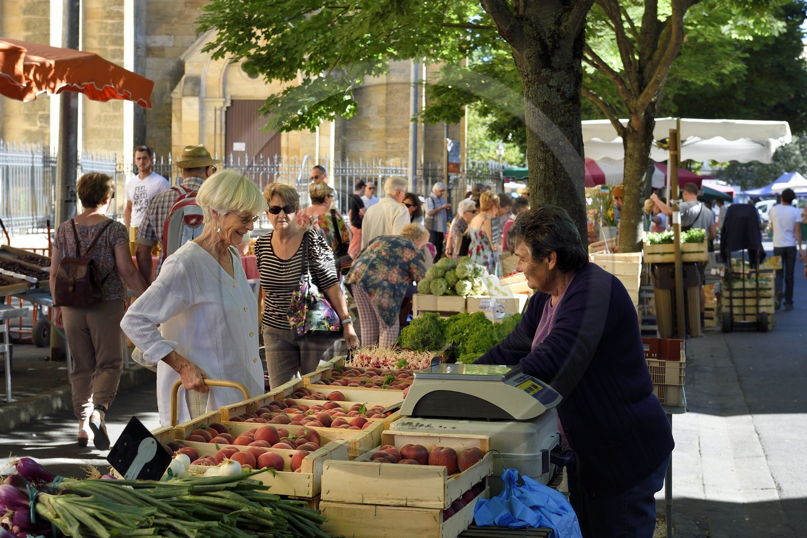 France, Dordogne (24), Périgord Pourpre, Bergerac, marché au pied de l'église Notre Dame