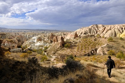 Turquie, Anatolie Centrale, province de Nevsehir, Cappadoce classée Patrimoine Mondial de l'UNESCO, vallon de Kizil Çukur (vallée Rouge) et vignes sur le versant occidental du massif de l'Ak Tepe vers Çavusin