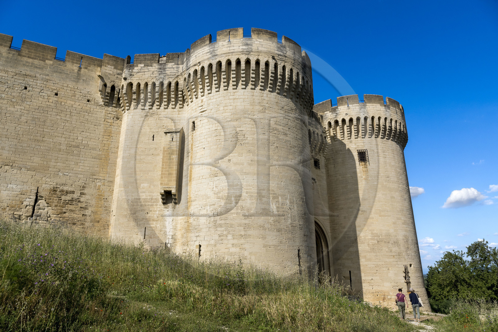 France (30), Gard, Villeneuve-lès-Avignon, Fort Saint André et ses remparts