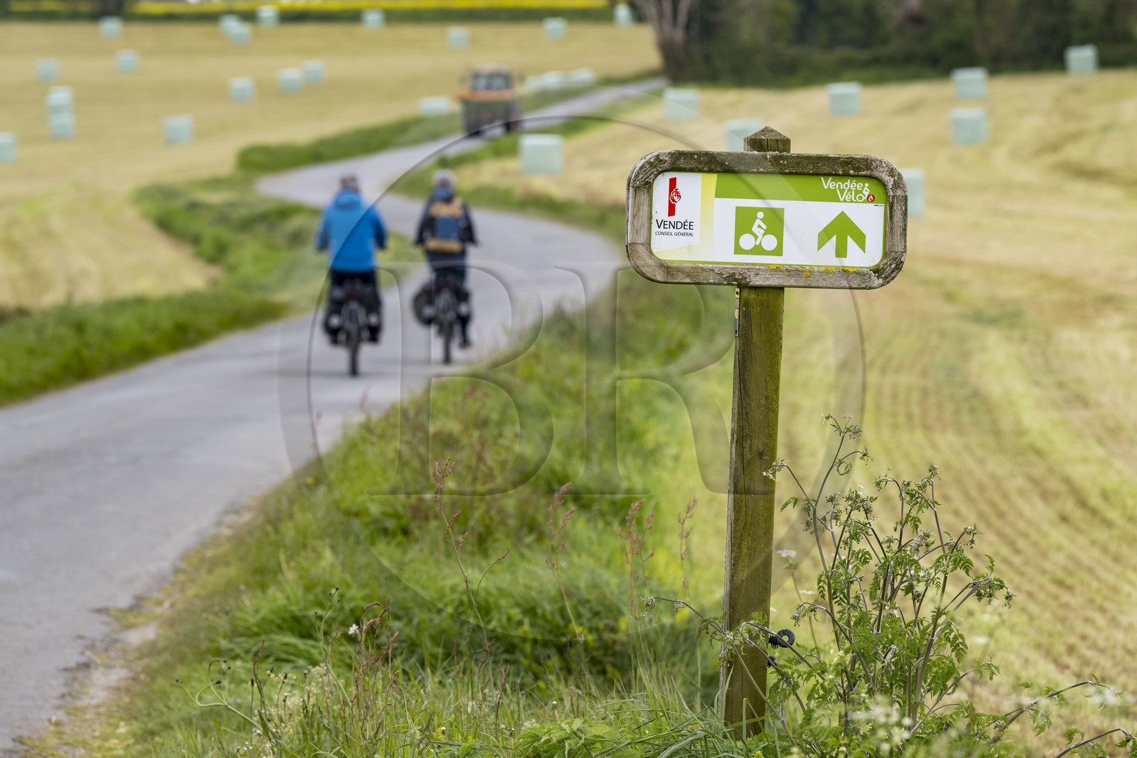 France, Vendee, Saint-Mesmin, cycling on the Vendée Vélo Tour cycle route, Vendée Vélo sign