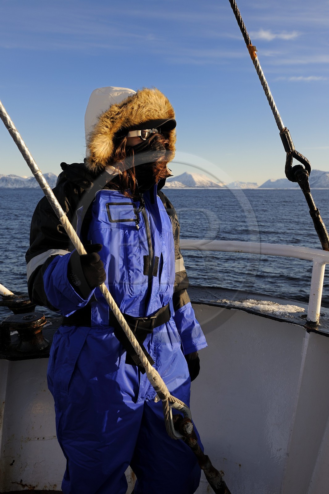 Norvège, Nordland, iles des Westeralen, région de Myre, le bateau Leonora pour l'observation des baleines