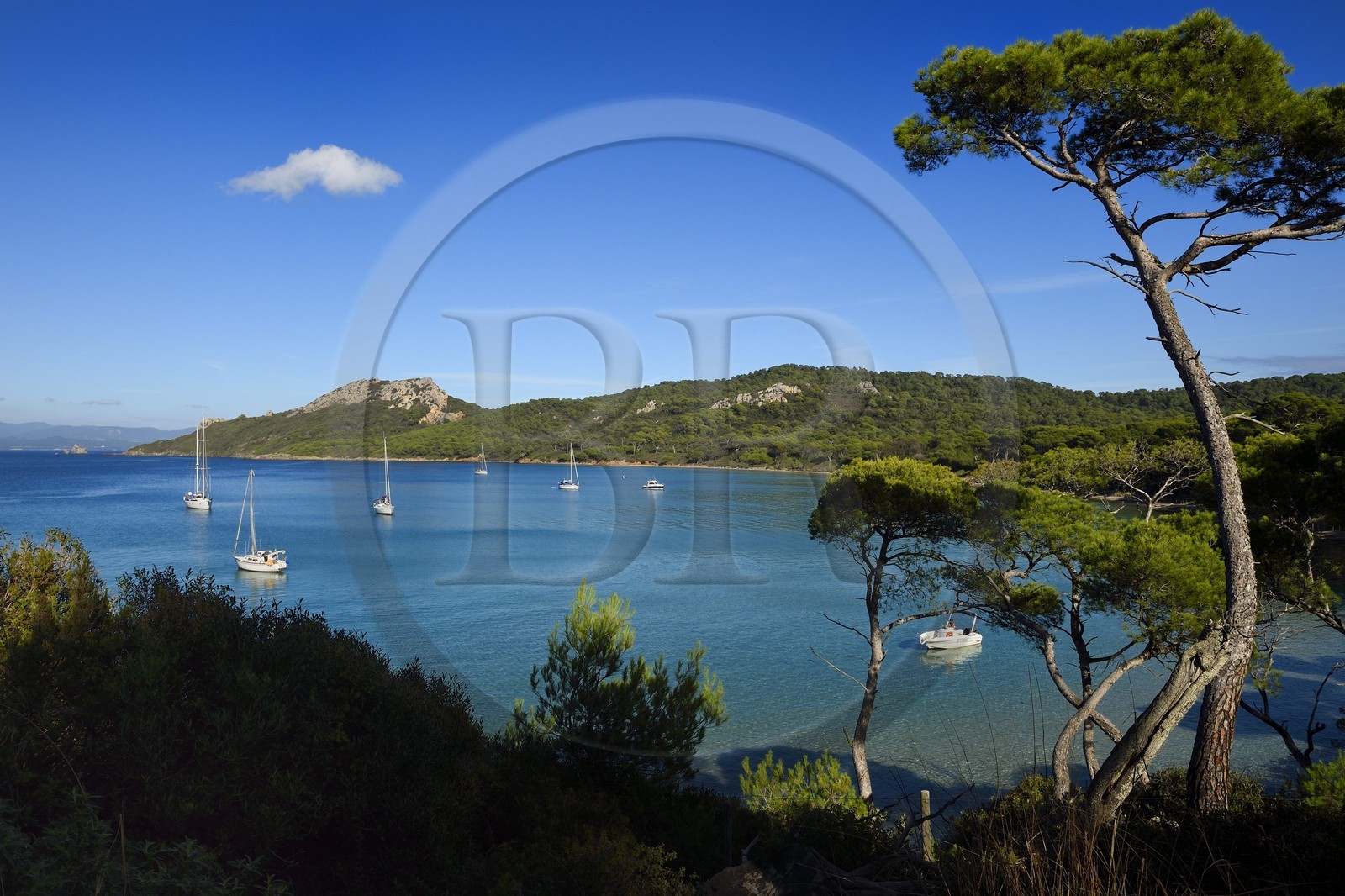 France, Var (83), Iles d'Hyères, parc national de Port Cros, Ile de Porquerolles, plage Notre-Dame