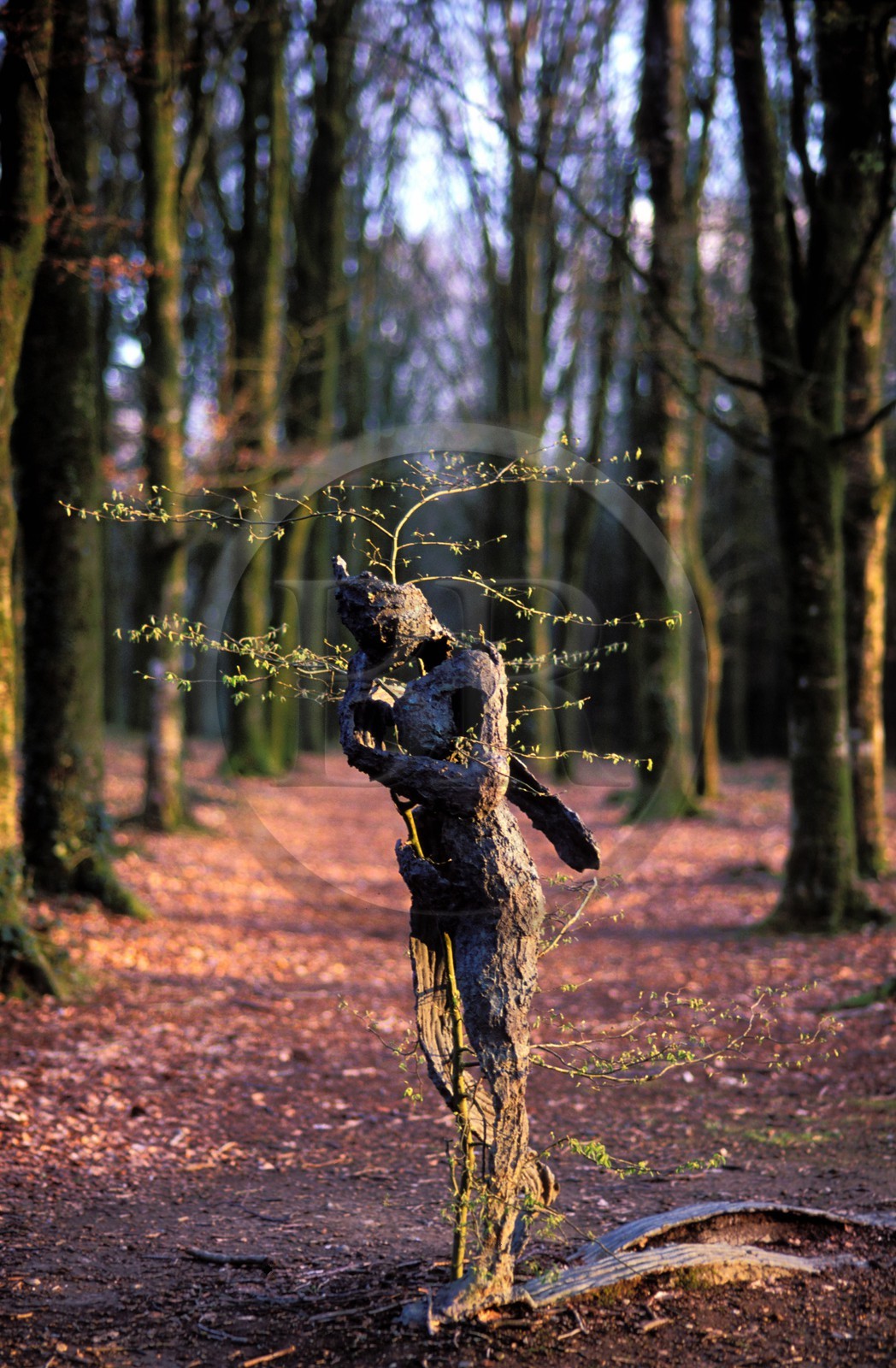 France, Morbihan, work of art in the Kerguehennec Park