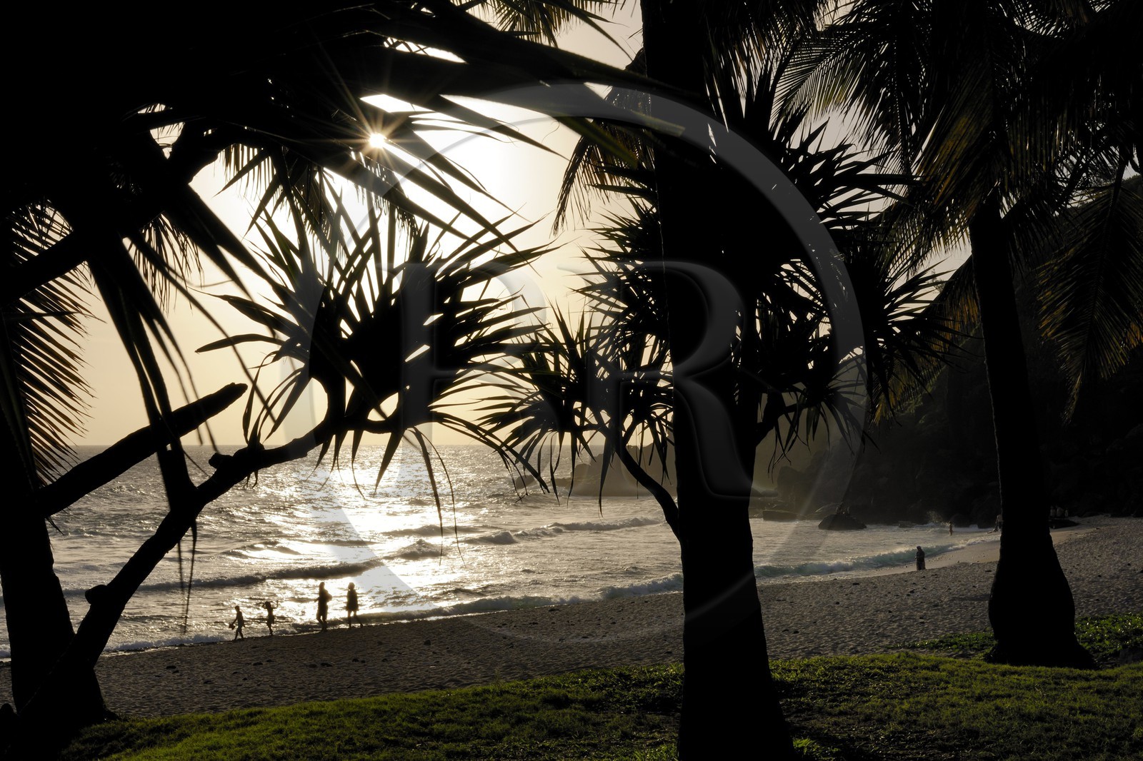 France, île de la Réunion, la côte sud, plage de Grande-Anse