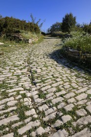 France, Hérault (34), près de Lunel, Oppidum d'Ambrussum ancien oppidum gaulois situé sur la Voie Domitienne (Via Domitia), rue pavée usées par le passage des chariots