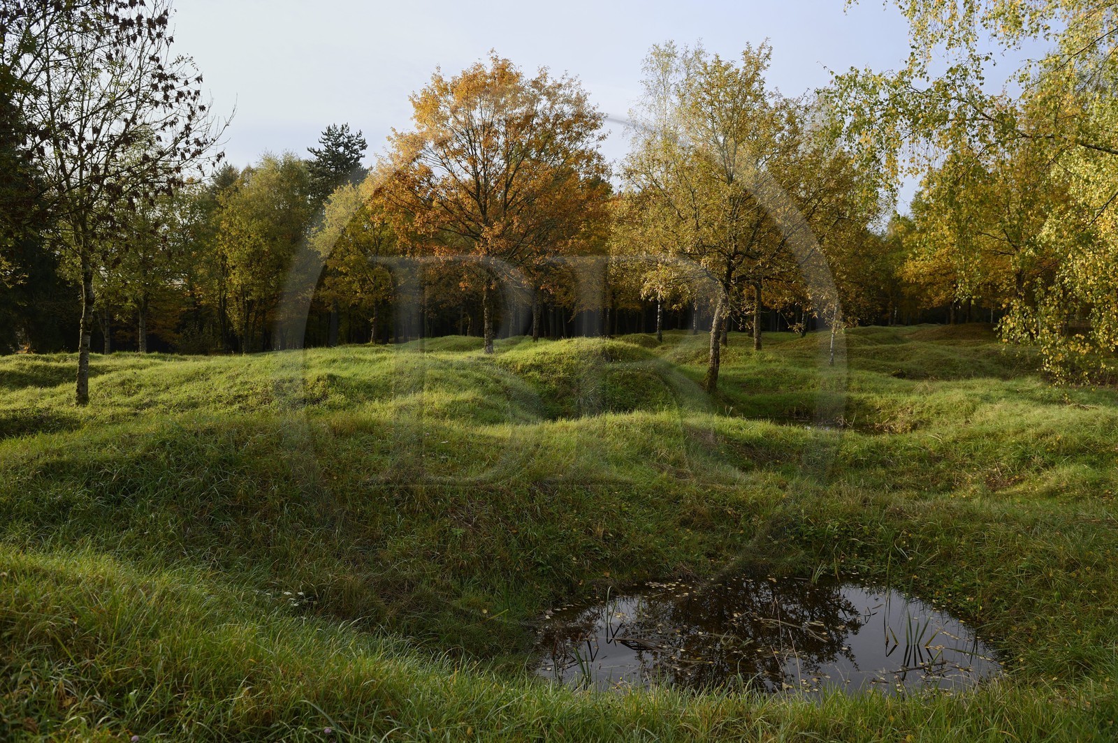 France, Meuse, Douaumont, landscape marked by shell holes still a century after the battle of Verdun, ouvrage Thiaumont along the ossuary of Douaumont