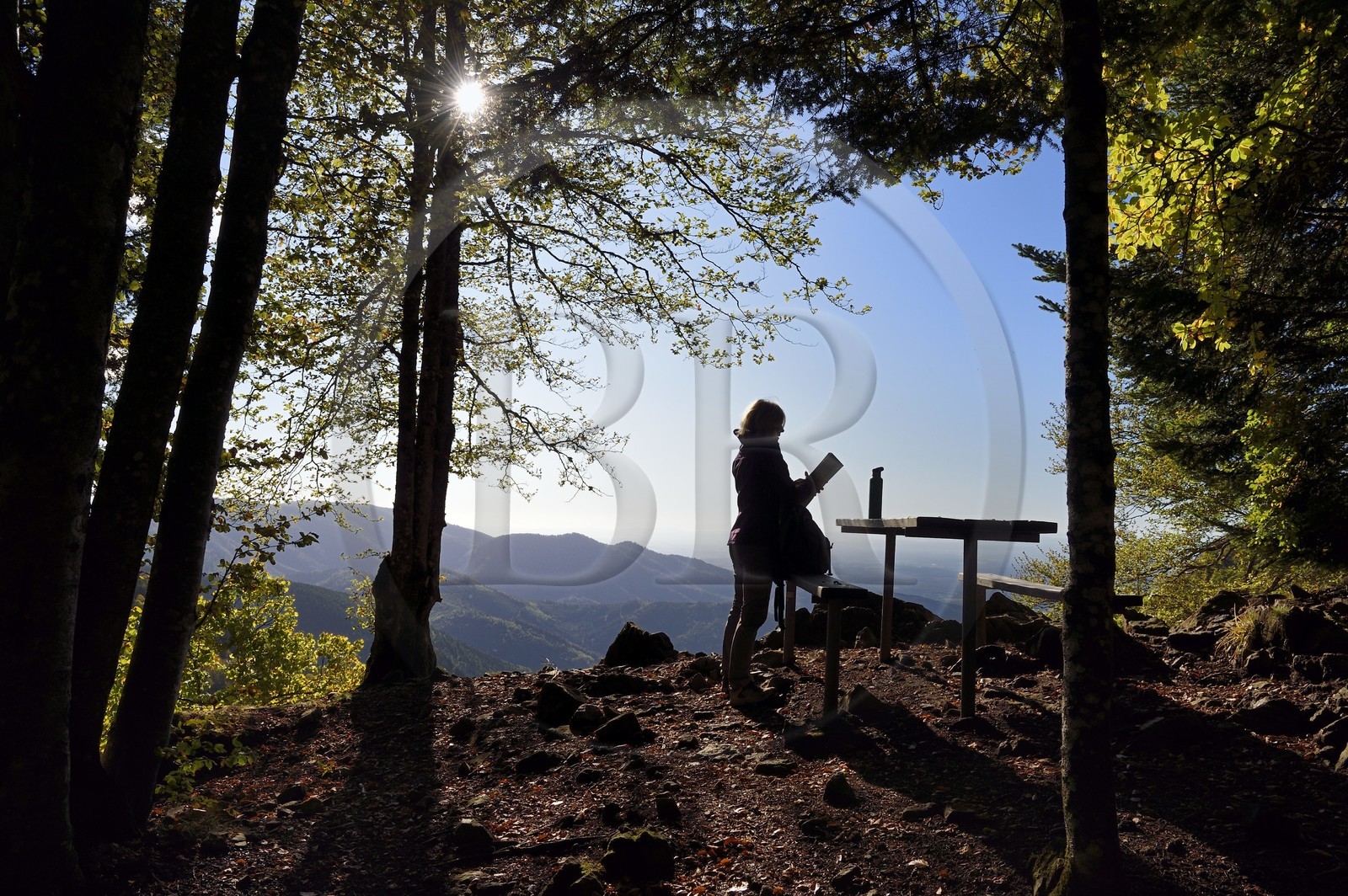 France, Haut-Rhin (68), Parc naturel régional des ballons des Vosges, Rimbach-près-Masevaux, randonneur marchant sur le GR5 au dessus du Lac des Perches