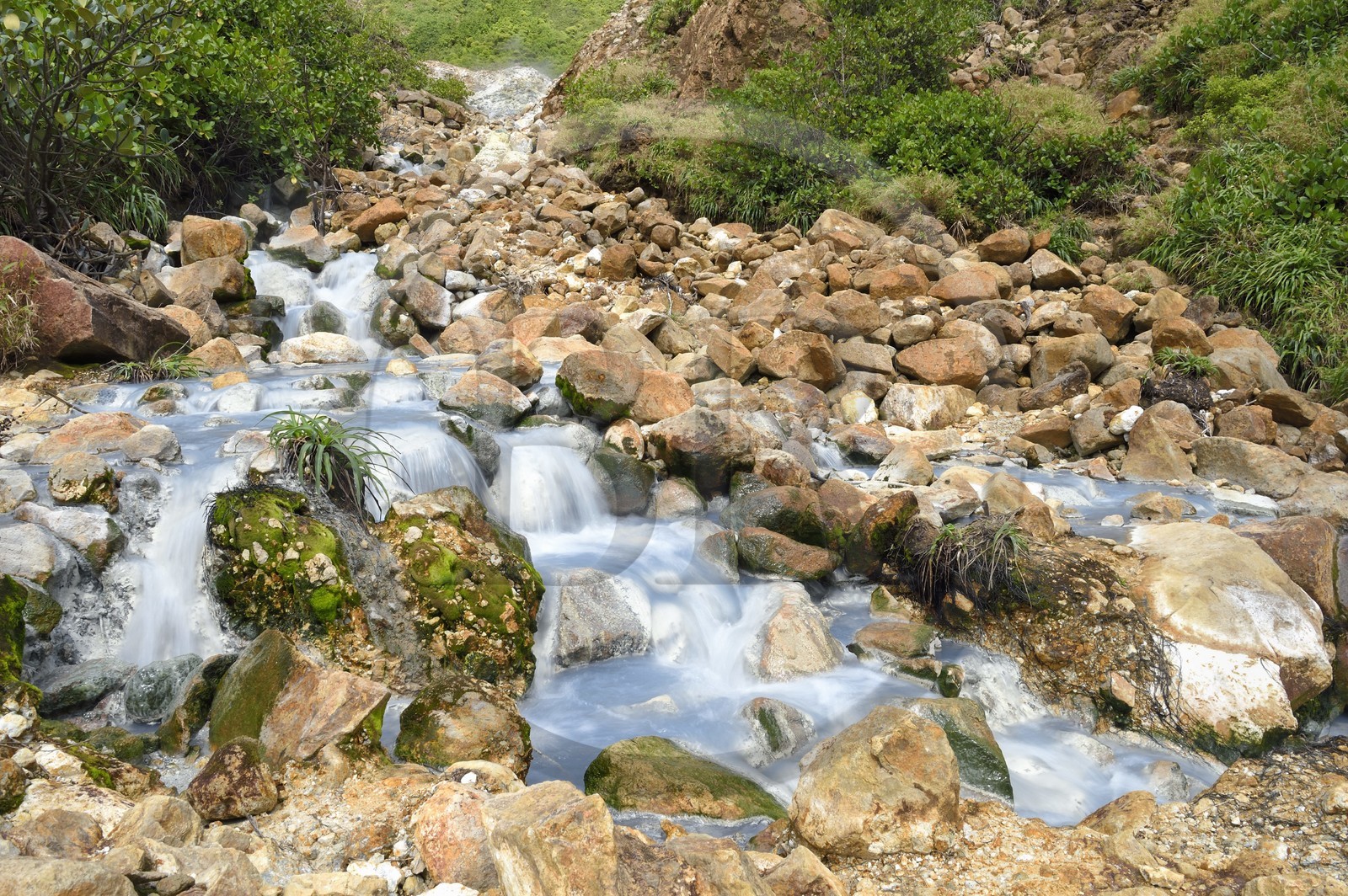 Caribbean, Dominica Island, Castle Bruce, Morne Trois Pitons National Park listed as World heritage by UNESCO, Valley of Desolation, river of hot springs, whose unique color is due to the presence of calcium, carbon, sulfur and iron, on the trail leading to Boiling Lake