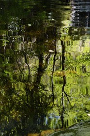 France, Ardeche, Monts d'Ardeche Regional Natural Park, Thueyts, the upper valley of the Ardeche River