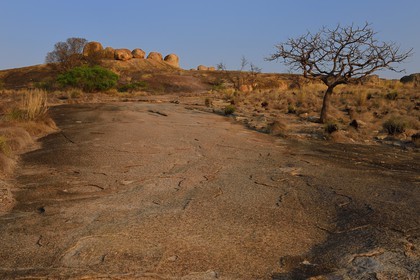 Zimbabwe, province de Matabeleland méridional, Matobo ou Matopos Hills National Park, classé Patrimoine Mondial de l'UNESCO, formations rocheuses sur la colline de Malindidzimu (demeure des esprits bienveillants) au sommet de View of the World où est enterré Cecil Rhodes
