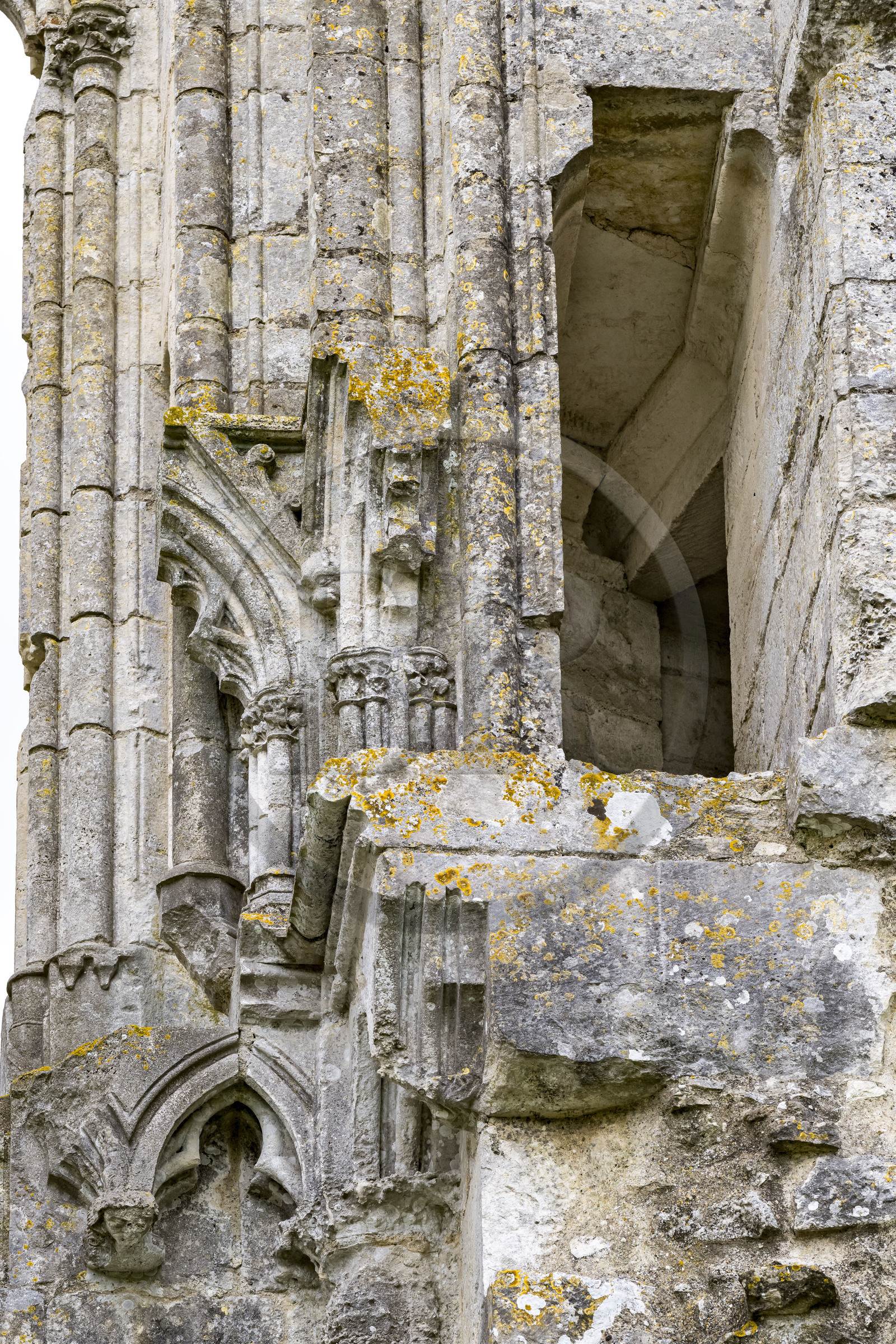 France, Vendée (85), Parc Interrégional du Marais Poitevin labellisé Grand Site de France, Maillezais, vestiges de l'abbaye Saint-Pierre de Maillezais, détail des murs de l'église abbatiale