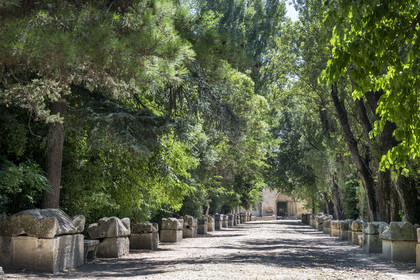 France, Bouches-du-Rhône (13), Arles, les Alyscamps, site classé Patrimoine Mondial de l'UNESCO, nécropole païenne puis chrétienne de l'époque romaine au Moyen Age, comprenant de très nombreux sarcophages