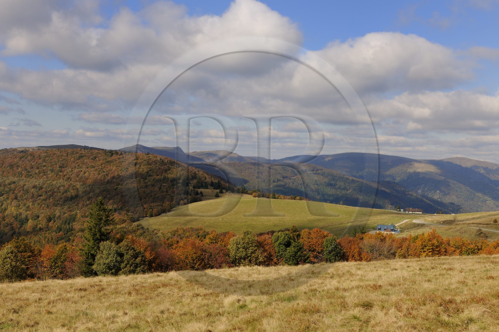 France, Haut-Rhin (68), la route des Crêtes, vue vers le Hohneck à la hauteur du col d'Hahnenbrunnen