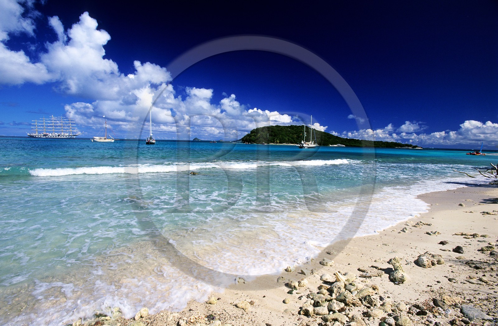 Caribbean sea, St Vincent and the Grenadines, Tobago Cays archipelago, beach of one of many uninhabited island