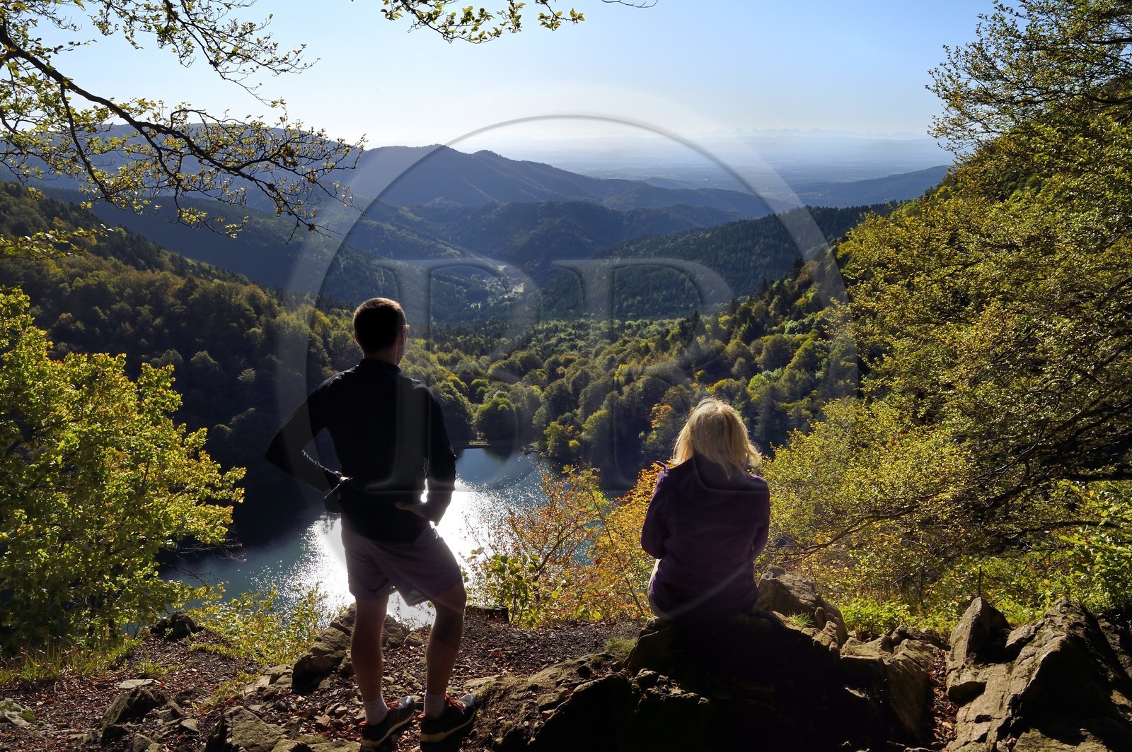 France, Haut-Rhin (68), Parc naturel régional des ballons des Vosges, Rimbach-près-Masevaux, randonneur marchant sur le GR5 au dessus du Lac des Perches, la plaine d'Alsace et les Alpes en arrière plan