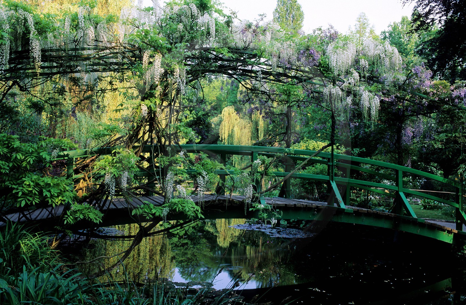 France, Eure (27), Giverny, jardin de Claude Monet, le pont japonais