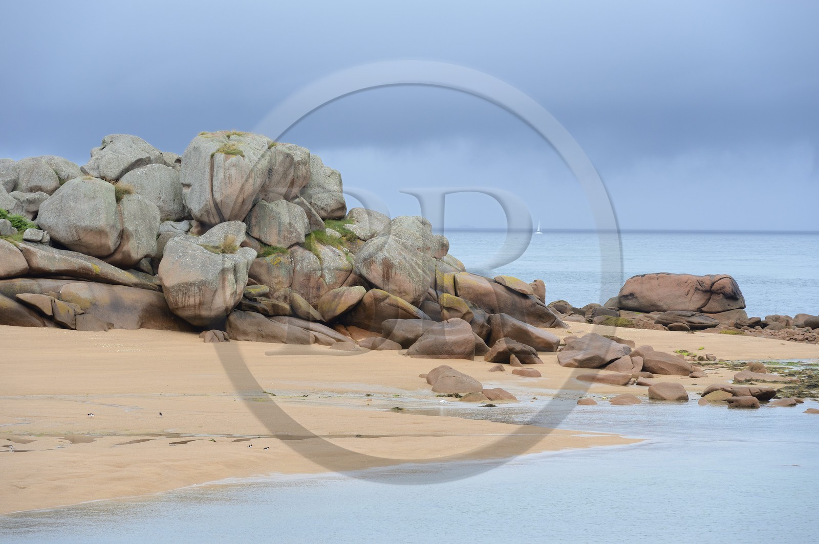 France, Côtes-d'Armor (22), Côte de Granit Rose, Trégastel, l'Ile Renote