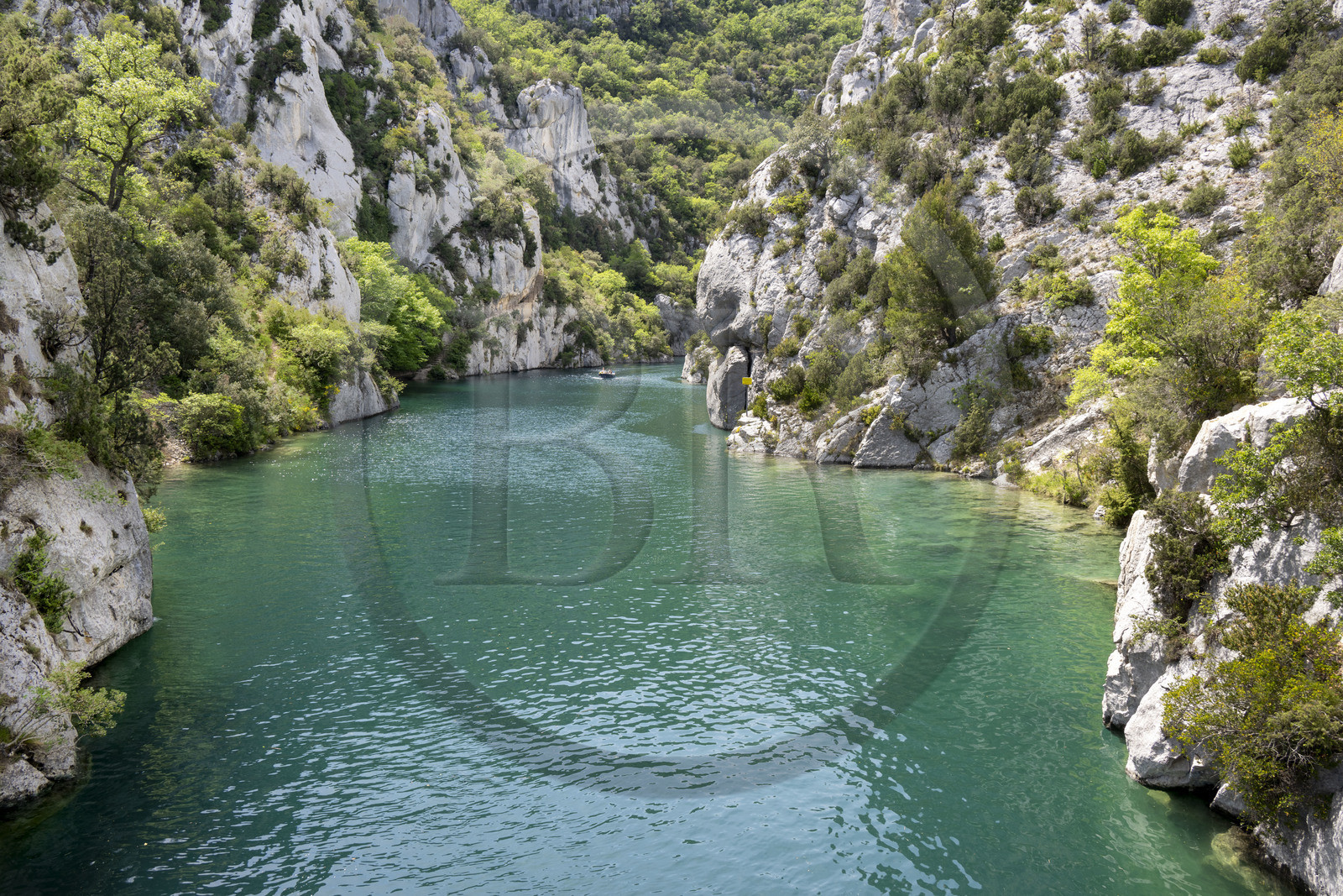 France, Alpes-de-Haute-Provence (04), Parc Naturel Régional du Verdon, Quinson, découverte en bateau électrique des Basses Gorges du Verdon en aval du lac de Sainte Croix