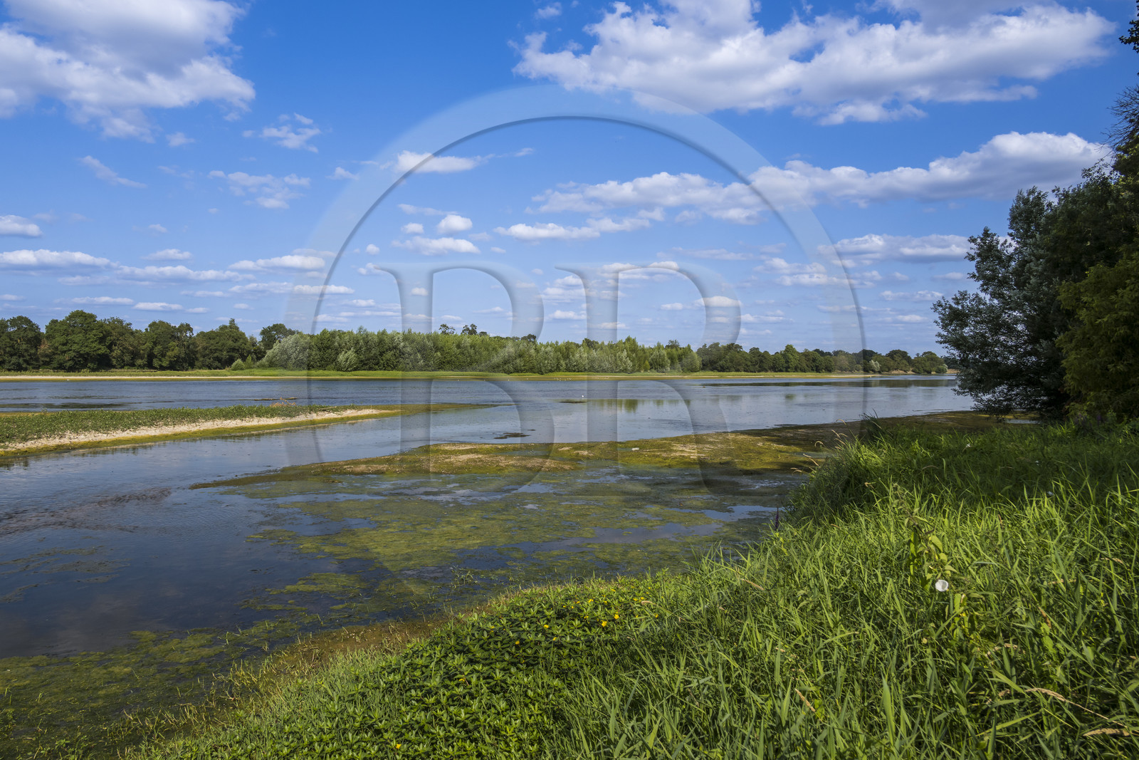 France, Maine-et-Loire, Loire valley listed as World Heritage by UNESCO, Saumur towards Saint-Hilaire, sandbanks forming islands on the Loire