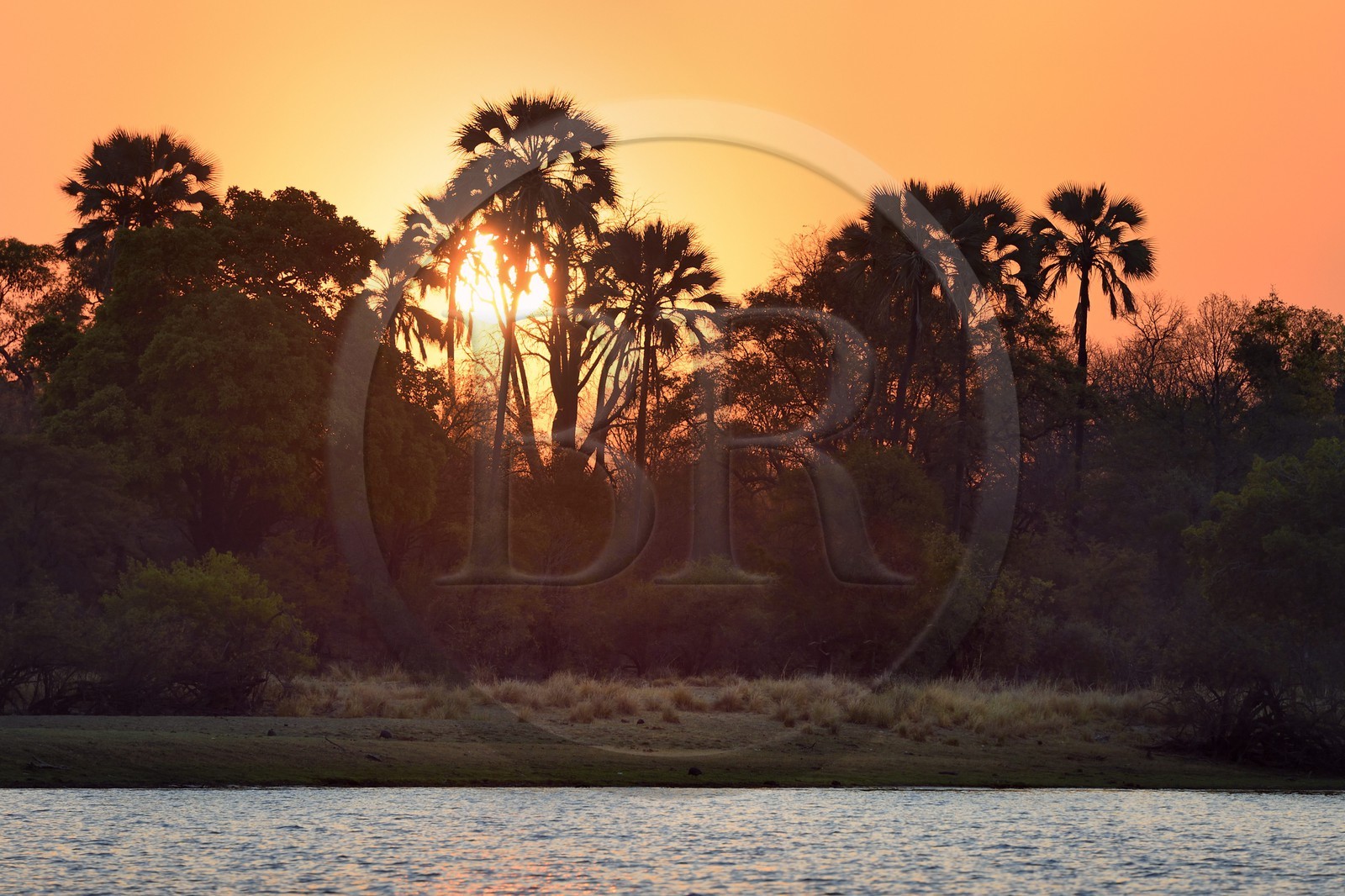 Zimbabwe, province de Matabeleland septentrional, Victoria Falls, coucher de soleil sur le fleuve Zambèze en amont des chutes Victoria