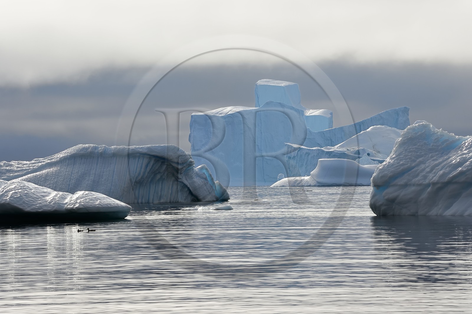 Groenland, cote ouest, Ile de Disko, baie du village de Qeqertarsuaq, icebergs dans la brume