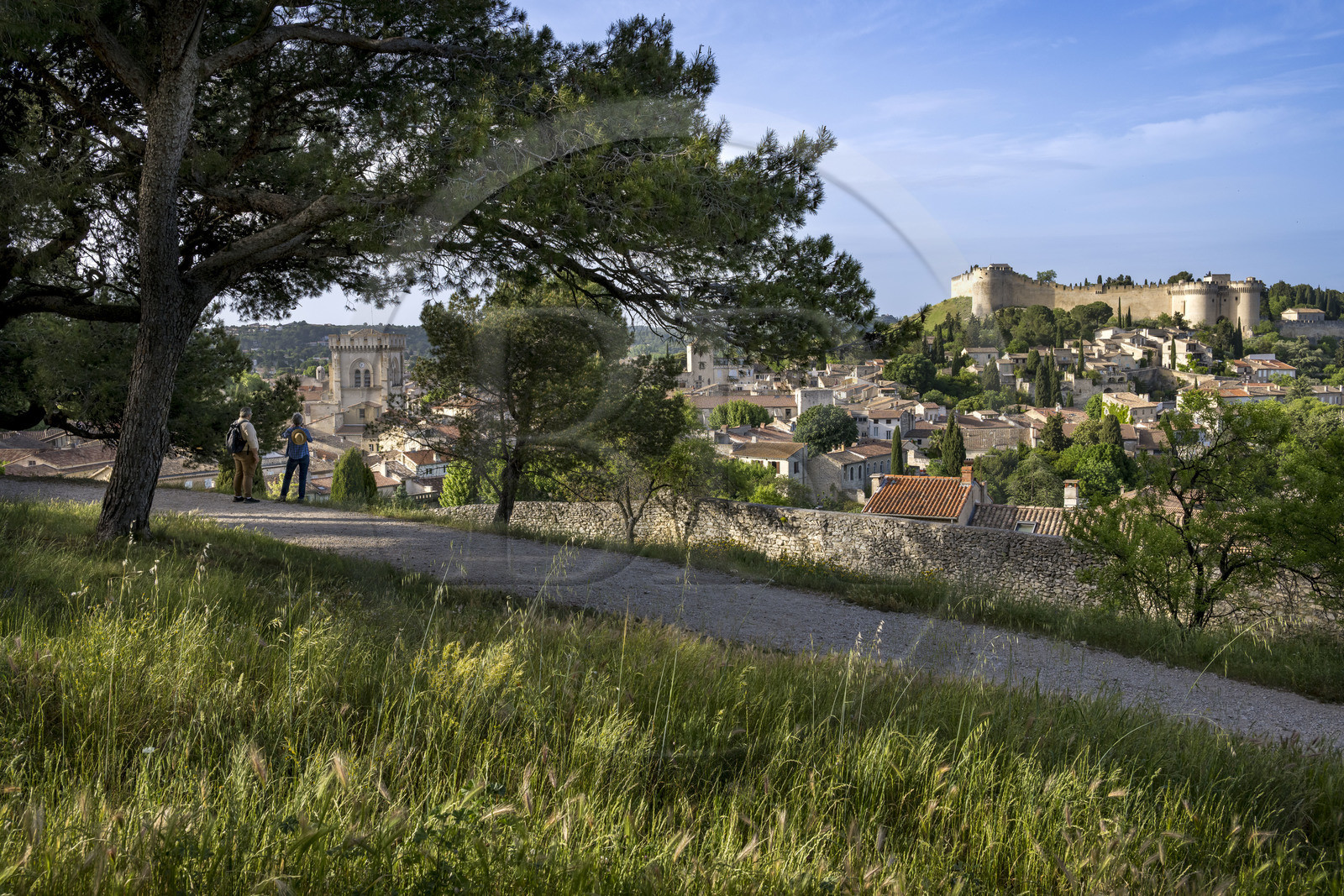 France (30), Gard, Villeneuve-lès-Avignon, Fort Saint André et ses remparts au dessus de la ville, vu depuis le parc La Colline des Mourgues