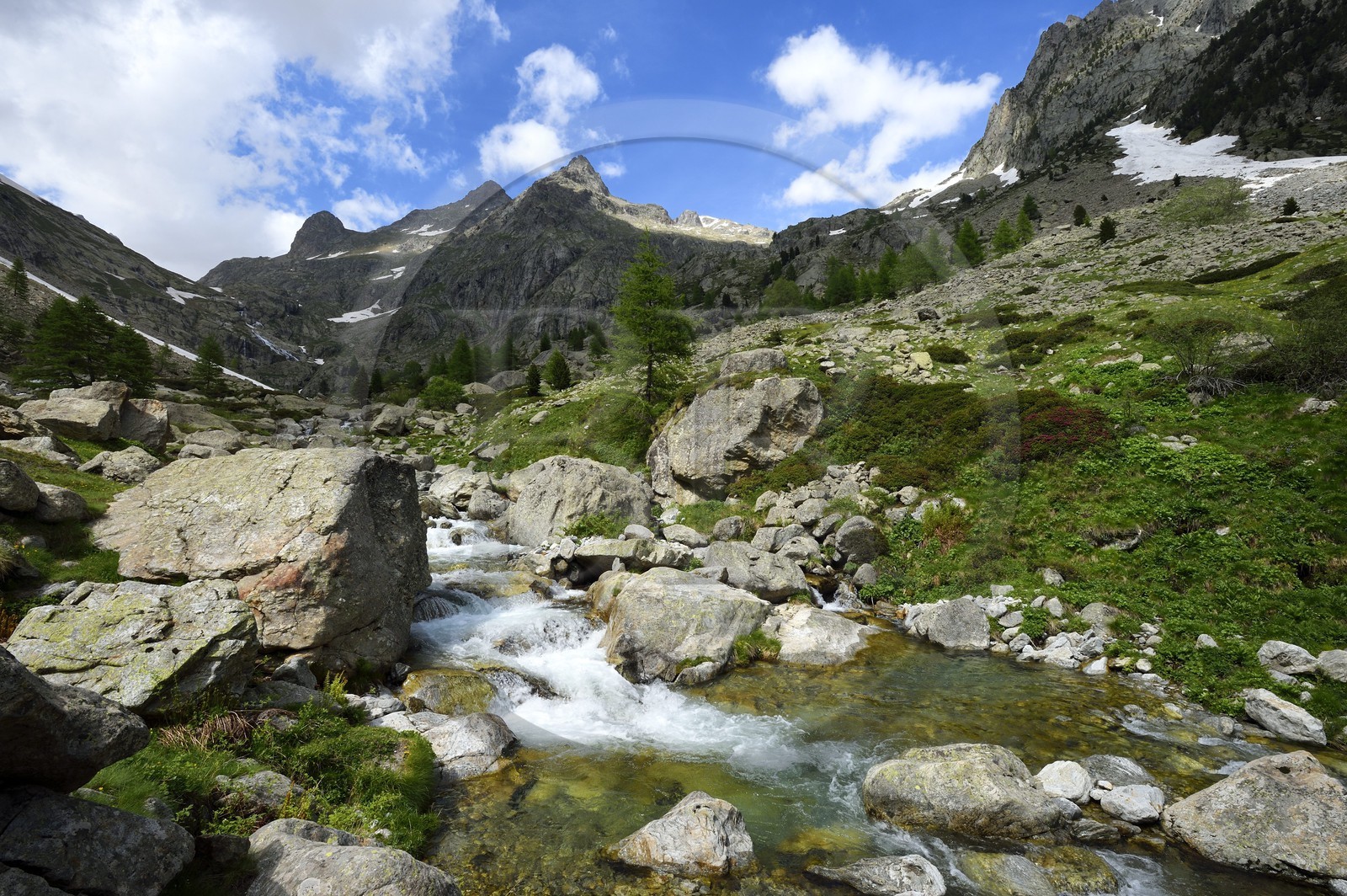 France, Alpes-Maritimes, parc national du Mercantour ( Mercantour national park), Haute-Vesubie, Gordolasque valley