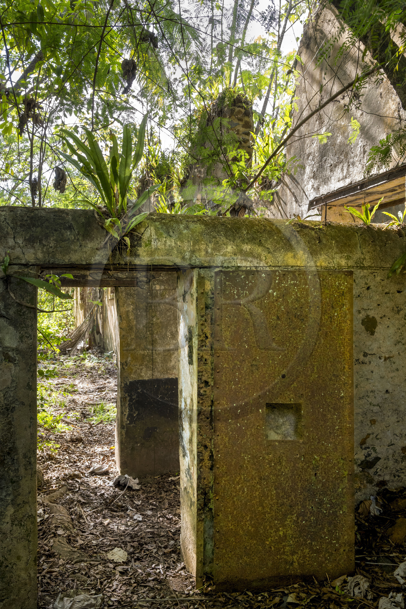 France, Guyane, Kourou, Iles du Salut, l'Ile Saint-Joseph, ruine du bagne consacré à la réclusion des prisonniers les plus difficiles