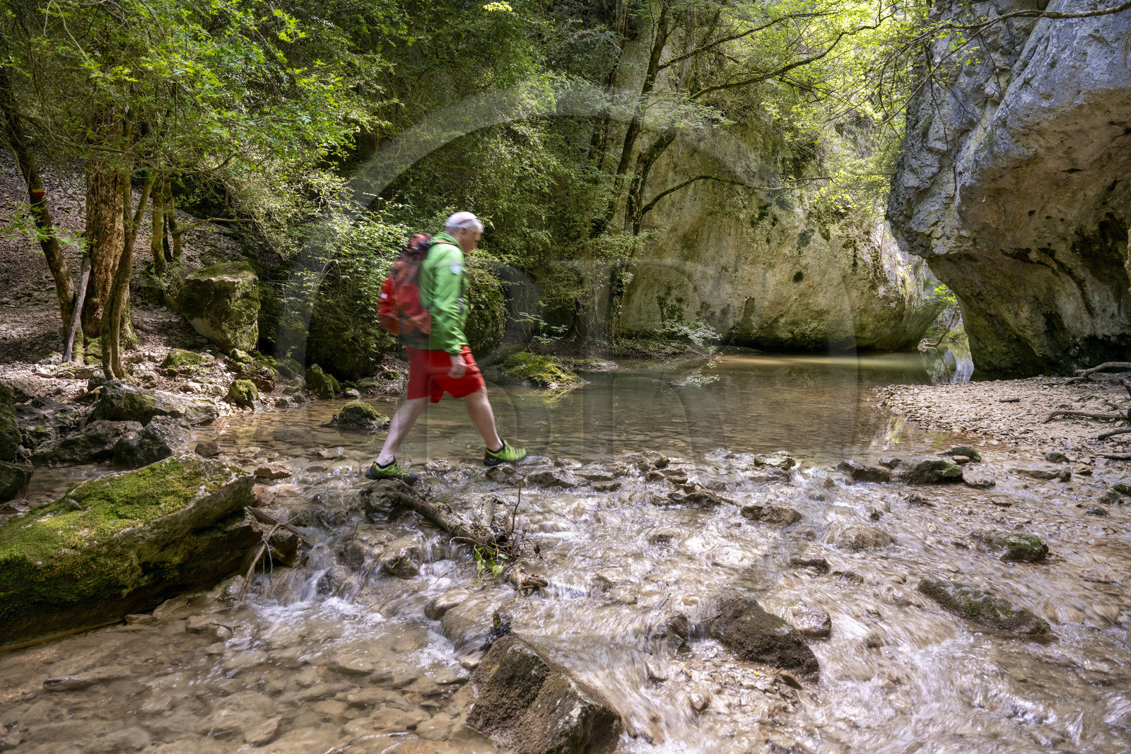 France, Vaucluse (84), Parc naturel régional du Mont Ventoux, Monieux, Gorges de La Nesque, randonneur traversant la Nesque au gué de la chapelle Saint-Michel