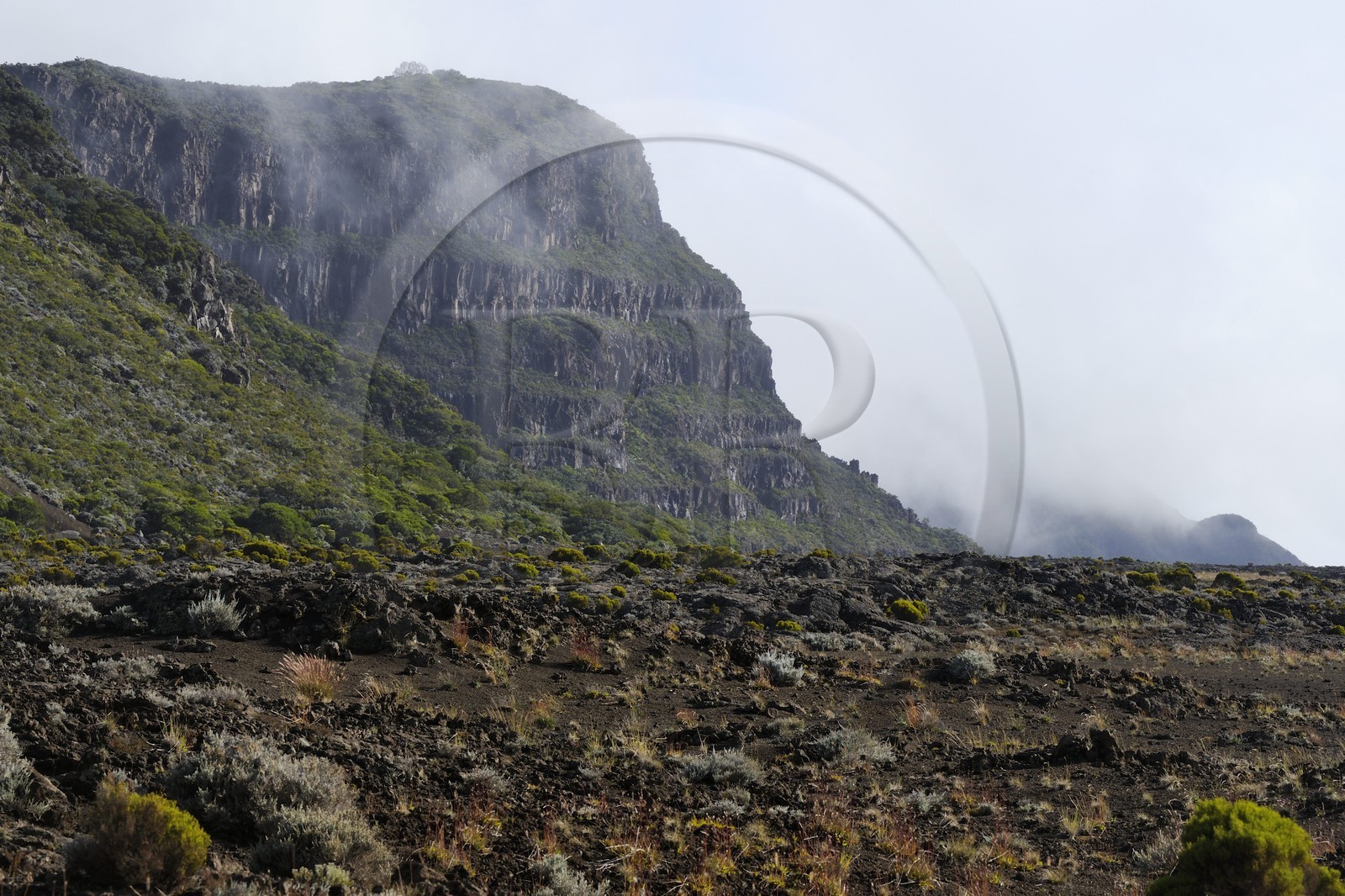 France, île de la Réunion, volcan du Piton de la Fournaise, classé Patrimoine Mondial de l'UNESCO, la Plaine des Sables