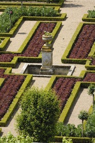 France, Indre-et-Loire (37), vallée de la Loire classée Patrimoine Mondial de l'UNESCO, les jardins à la française du château de Villandry, propriété d'Angélique et Henri Carvallo
