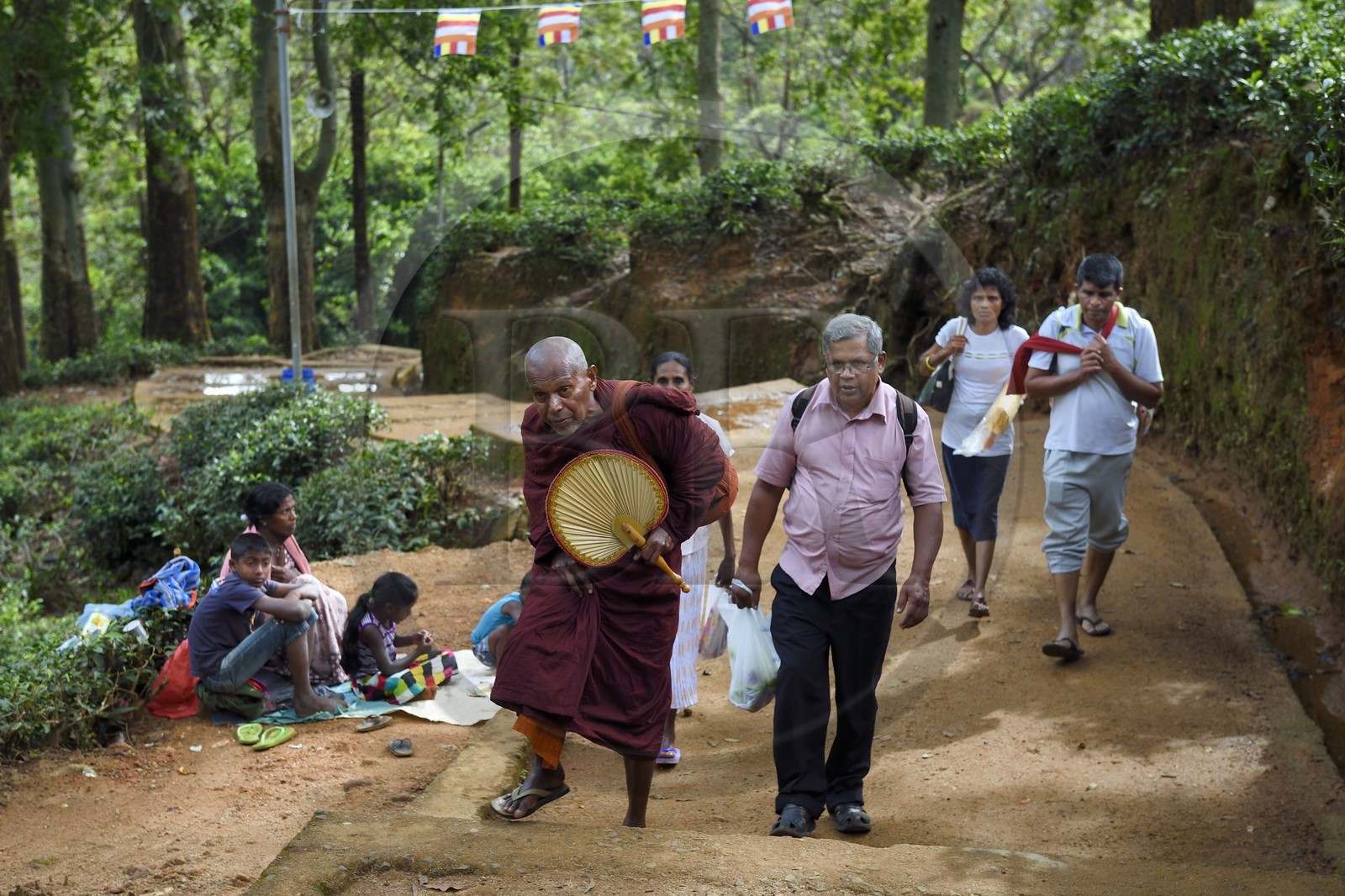 Sri Lanka, province du centre, Dalhousie, pélerins et moine sur le chemin menant au Pic d'Adam (Adam's Peak)