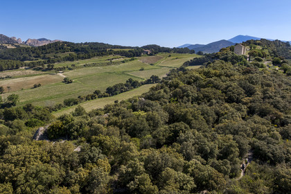 France, Vaucluse (84), Dentelles de Montmirail, Beaumes-de-Venise, randonneurs rejoignant la chapelle Saint-Hilaire dont l'implantation date du VIe siècle sur le plateau des Courens et le Mont Ventoux en arrière plan (vue aérienne)