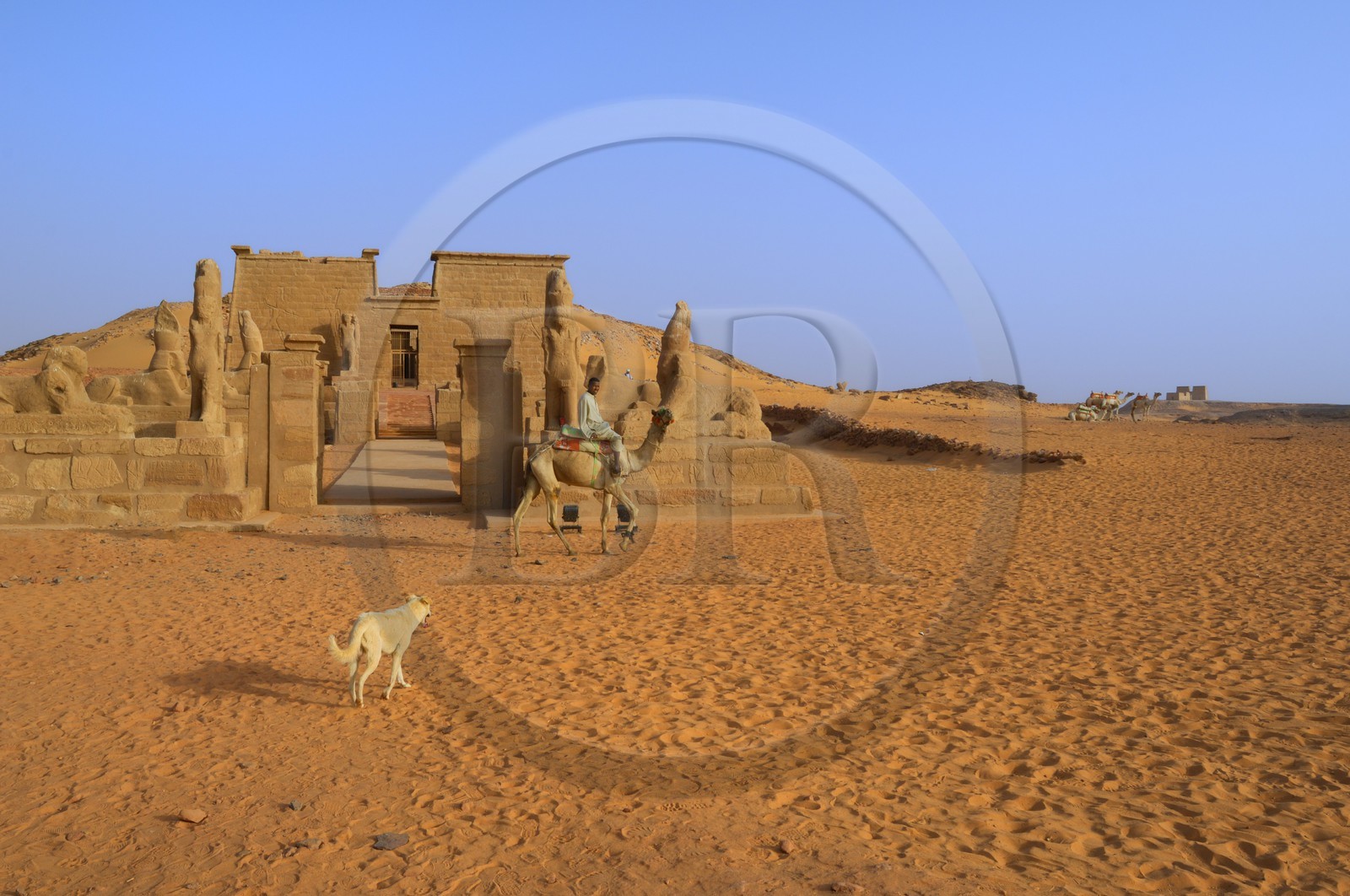 Egypte, Haute Egypte, Lac Nasser, désert de Nubie, temple de Ouadi es-Seboua ou vallée des lions